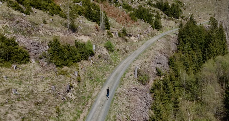 E-Scooter mit Straßenzulassung werden auch Offroad von uns getestet