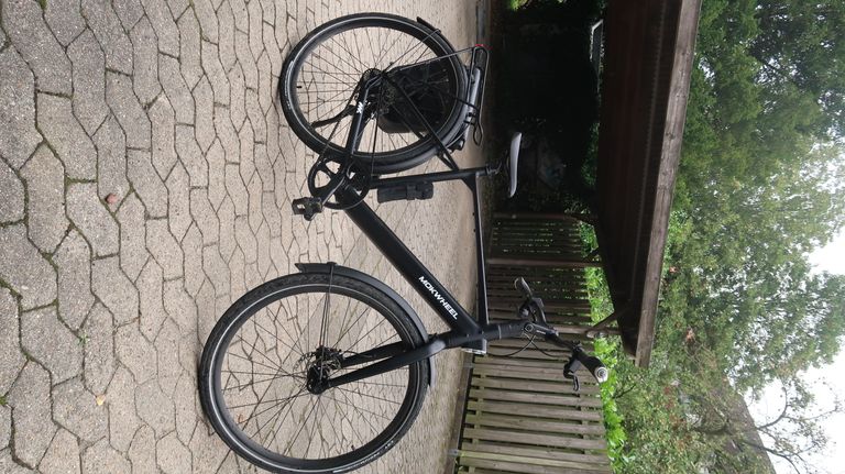 Mokwheel Flint Pro Seitenansicht