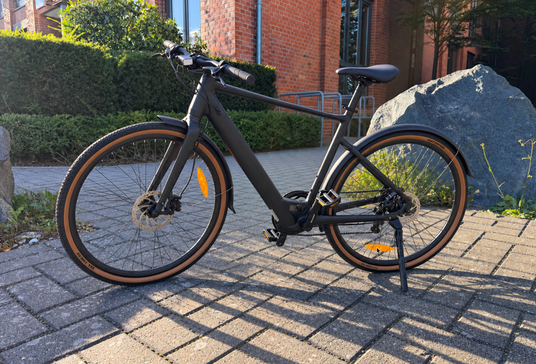 Fiido C21 in der Profilansicht mit 700C-Laufrädern