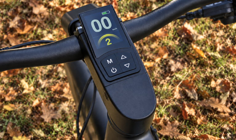 2,4-Zoll-Farbdisplay am Cockpit des Fiido C21